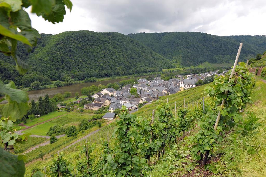 Wein- Und Gaestehaus M. Bai Mesenich Esterno foto